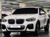 BMW X4(G02) xDrive 20i M  X (Źȣ:1353693)