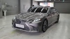 ·º¼½º LS(5¼¼´ë) 500h AWD Ç÷¡Æ¼³Ñ (¸Å¹°¹øÈ£:1409299)