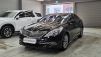Çö´ë ±×·£Á®HG HG300 ÀͽºÅ¬·ç½Ãºê (¸Å¹°¹øÈ£:1413724)