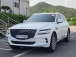 Á¦³×½Ã½º GV80 2.5T AWD 5Àν (¸Å¹°¹øÈ£:1414252)