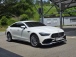  AMG GT 4 43 4MATIC+ (Źȣ:1415527)
