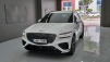 Á¦³×½Ã½º GV70 2.5 °¡¼Ö¸° Åͺ¸ AWD ½ºÆ÷Ã÷ ÆÐŰÁö (¸Å¹°¹øÈ£:1419763)