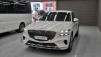 Á¦³×½Ã½º GV70 2.5 °¡¼Ö¸° Åͺ¸ AWD (¸Å¹°¹øÈ£:1420560)
