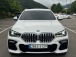 BMW X6(G06) xDrive 30d M  (Źȣ:1421335)