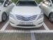  ׷HG LPi HG300 ̱ťƼ (Źȣ:1423704)