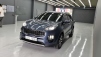   SUV Ƽ 1.7  2WD  (Źȣ:1426826)