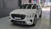 Á¦³×½Ã½º GV70 2.5 °¡¼Ö¸° Åͺ¸ AWD (¸Å¹°¹øÈ£:1427468)