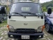  ƼQt 2 DLX  (Źȣ:1429082)