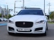 Ծ   XF 20d Ƽ (Źȣ:1429271)