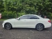  E-Ŭ(W213) E220 d 4MATIC ƹ氡 (Źȣ:1429311)