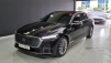    K9(RJ) 3.3 T-GDI AWD ÷Ƽ Ʈ  I (Źȣ:1438434)