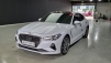 Á¦³×½Ã½º G70 2.0 T-GDi AWD ½ºÆ÷Ã÷ ÆÐŰÁö (¸Å¹°¹øÈ£:1438879)