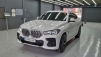 BMW X6(G06) xDrive 30d M  (Źȣ:1447561)